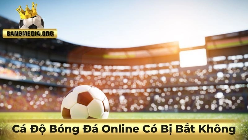 cá độ bóng đá online có bị bắt không