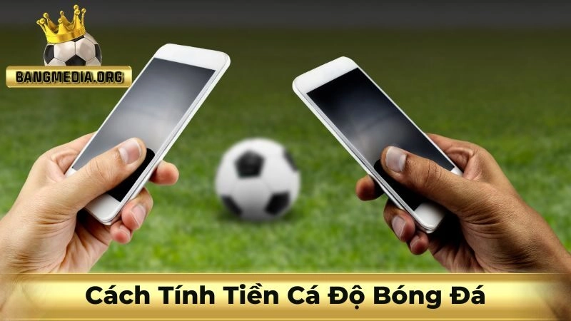 cách tính tiền cá độ bóng đá