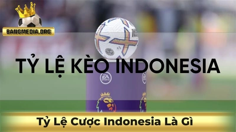 tỷ lệ cược indonesia là gì