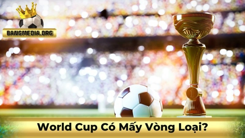 World Cup có mấy vòng loại